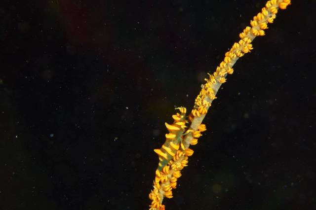 みんなで江の浦へ