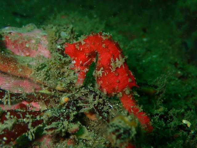 ミジン登場！！今週末もありがとうございました。