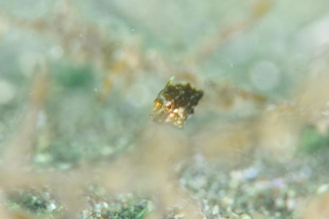 ミジン登場！！今週末もありがとうございました。