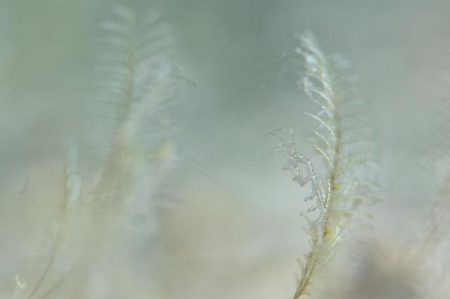 ミジン登場！！今週末もありがとうございました。