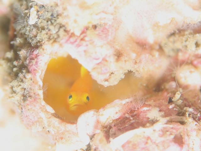 ミジン登場！！今週末もありがとうございました。