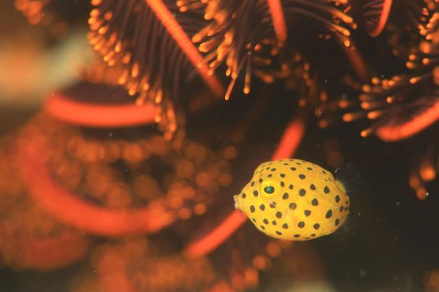 ミジン登場！！今週末もありがとうございました。