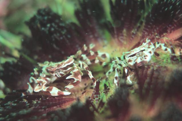 ミジン登場！！今週末もありがとうございました。