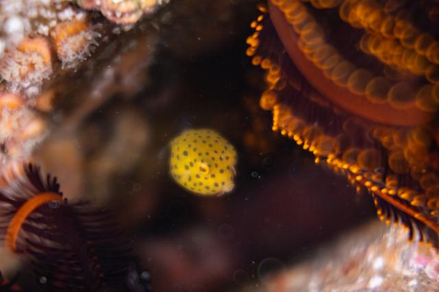 ミジン登場！！今週末もありがとうございました。