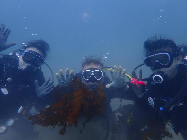 黒潮入った！？