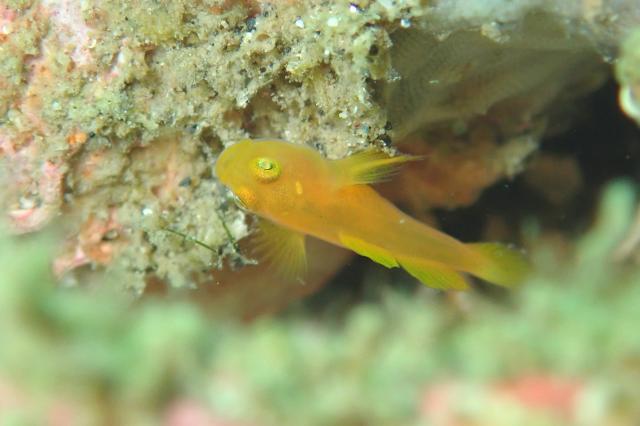 まさにダイビング日和！！