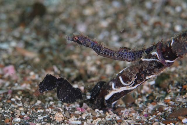 まさにダイビング日和！！