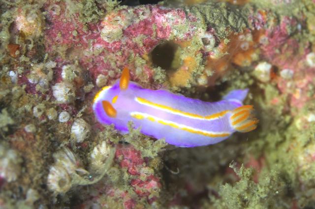 まさにダイビング日和！！