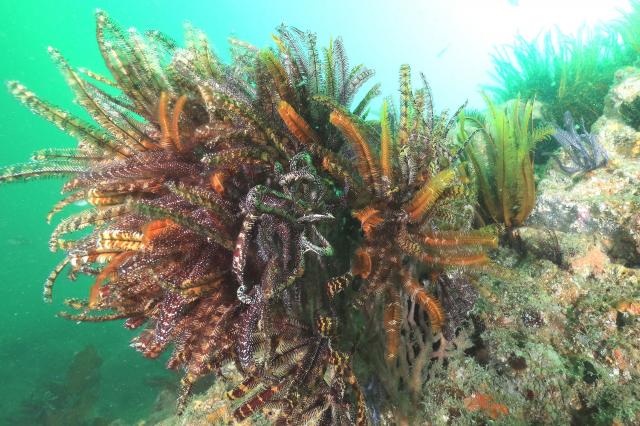 皆さんおめでとう！！