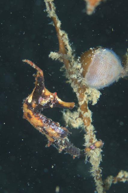 皆さんおめでとう！！