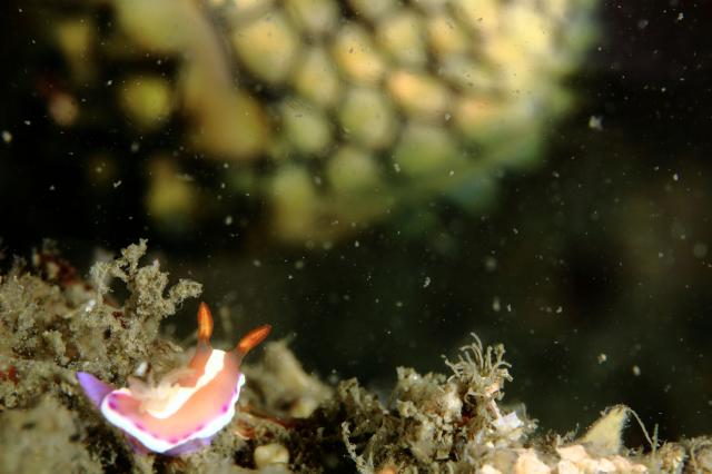 皆さんおめでとう！！