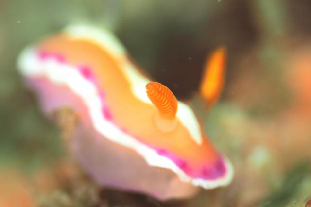 皆さんおめでとう！！