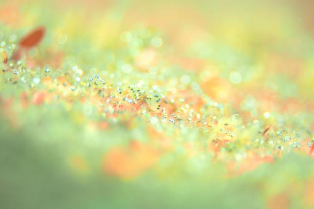 皆さんおめでとう！！