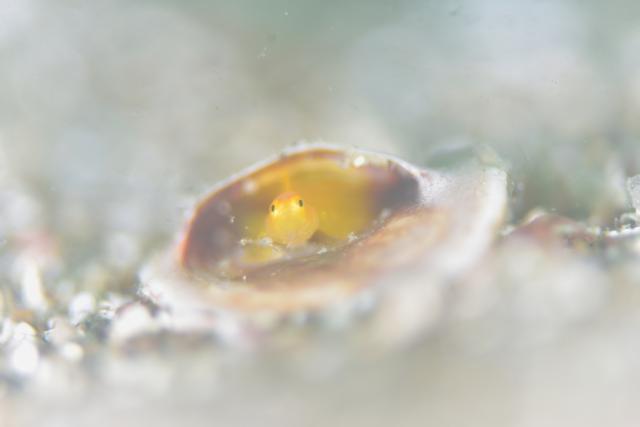 皆さんおめでとう！！