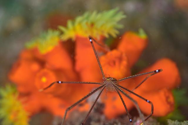 皆さんおめでとう！！