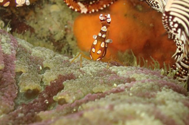 皆さんおめでとう！！