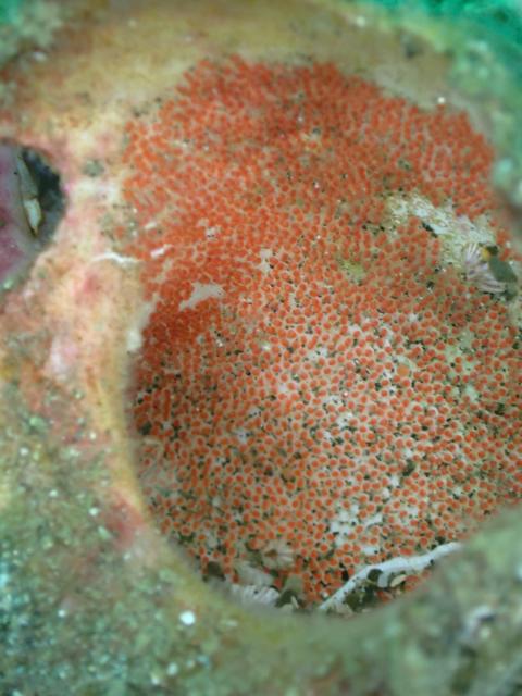 皆さんおめでとう！！