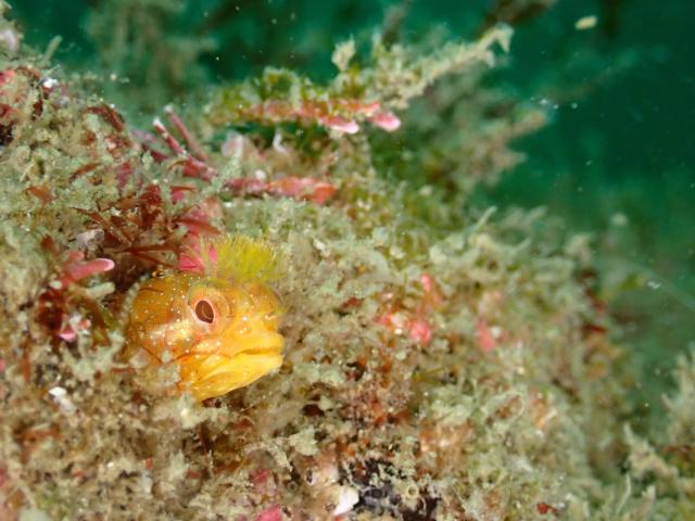 皆さんおめでとう！！