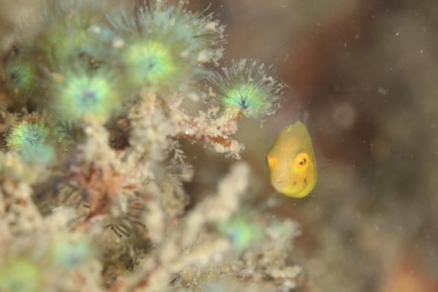 皆さんおめでとう！！