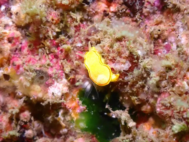 皆さんおめでとう！！