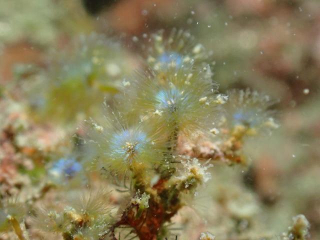 皆さんおめでとう！！