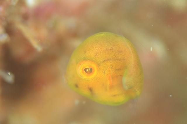 皆さんおめでとう！！