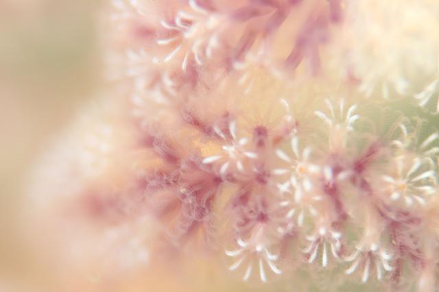 皆さんおめでとう！！