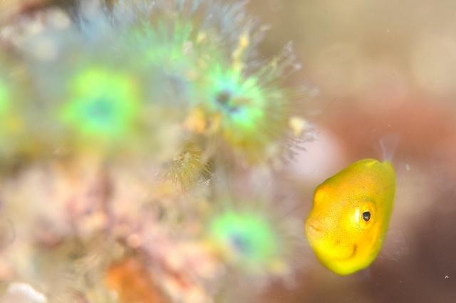 皆さんおめでとう！！