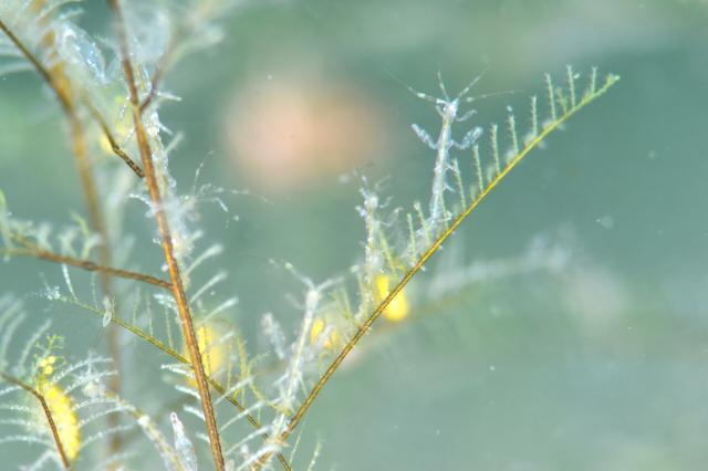 皆さんおめでとう！！