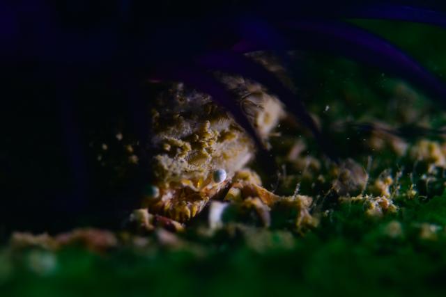 皆さんおめでとう！！