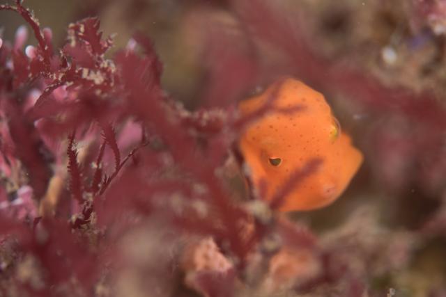 皆さんおめでとう！！