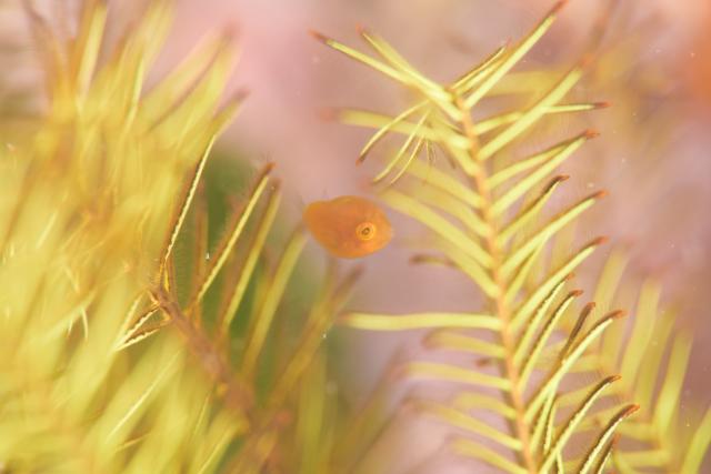 皆さんおめでとう！！