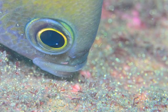 皆さんおめでとう！！