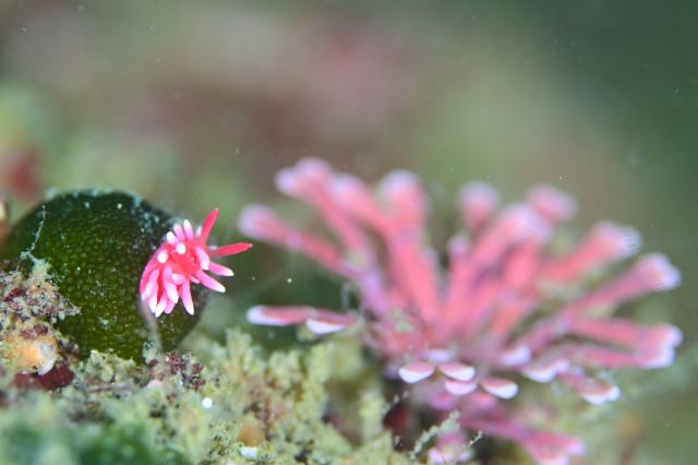 皆さんおめでとう！！