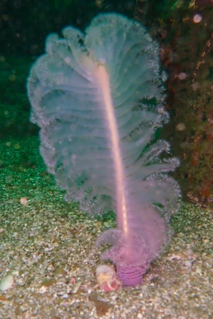 皆さんおめでとう！！