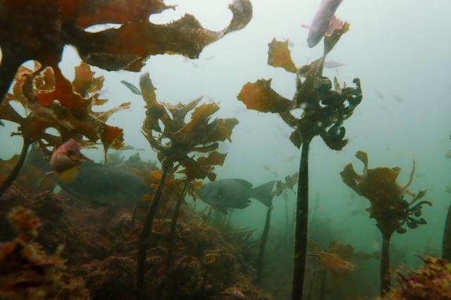 皆さんおめでとう！！
