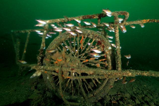 皆さんおめでとう！！