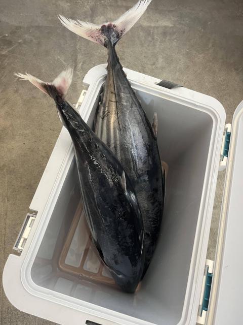 週明け月曜日、のんびりと過ごしてます（笑）