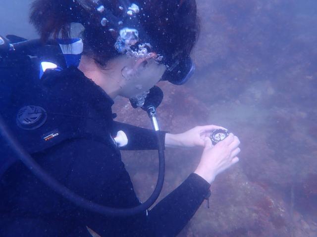 週明け月曜日、のんびりと過ごしてます（笑）