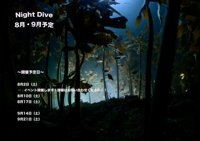 夏休み！！シュノーケルツアー