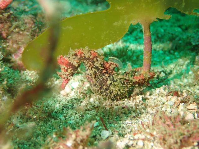 じっくりフォト講座！