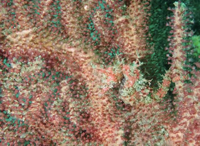 じっくりフォト講座！