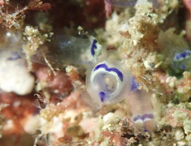 じっくりフォト講座！