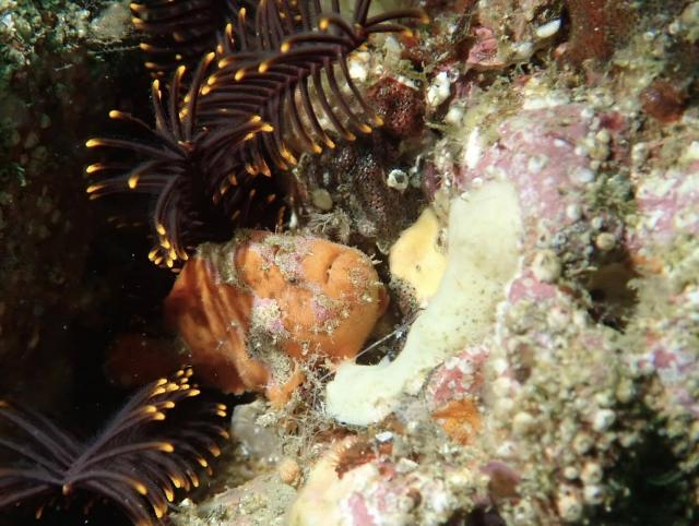 じっくりフォト講座！