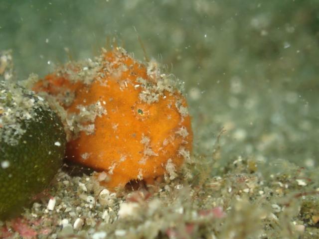 晴れ→雨、晴れ→雨、忙しい〜！！！