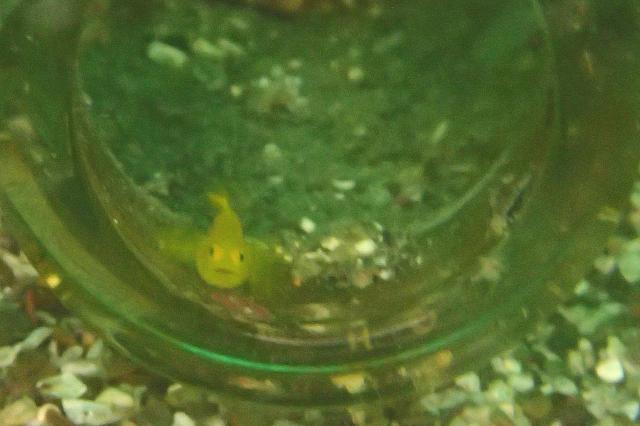 晴れ→雨、晴れ→雨、忙しい〜！！！