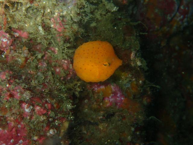 晴れ→雨、晴れ→雨、忙しい〜！！！