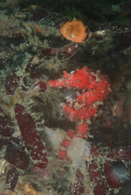 新しいお知らせもあります！！！