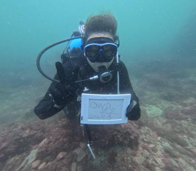 しげちゃんを囲んでダイビング！