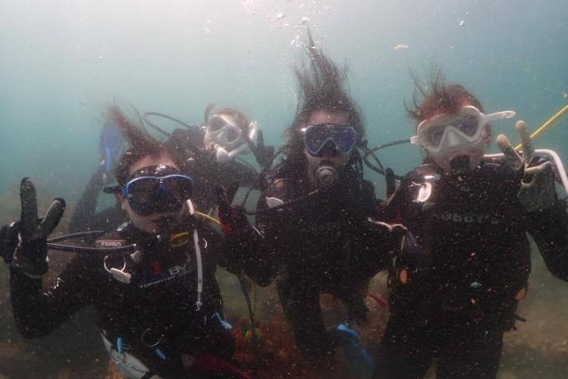 黄色のかわいい生物達！